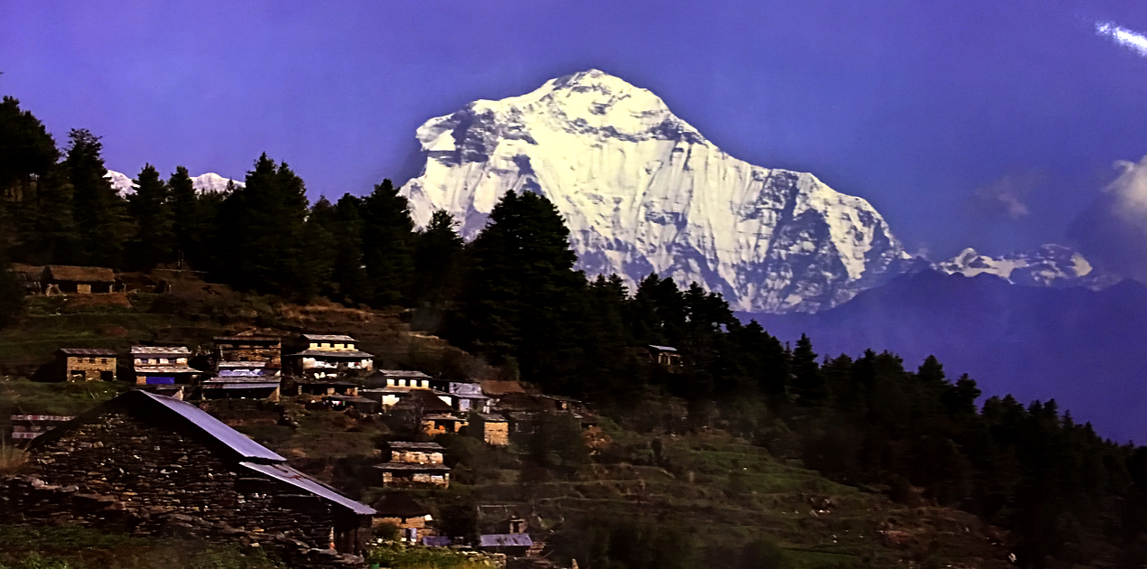 Karbakeli Eco Trek