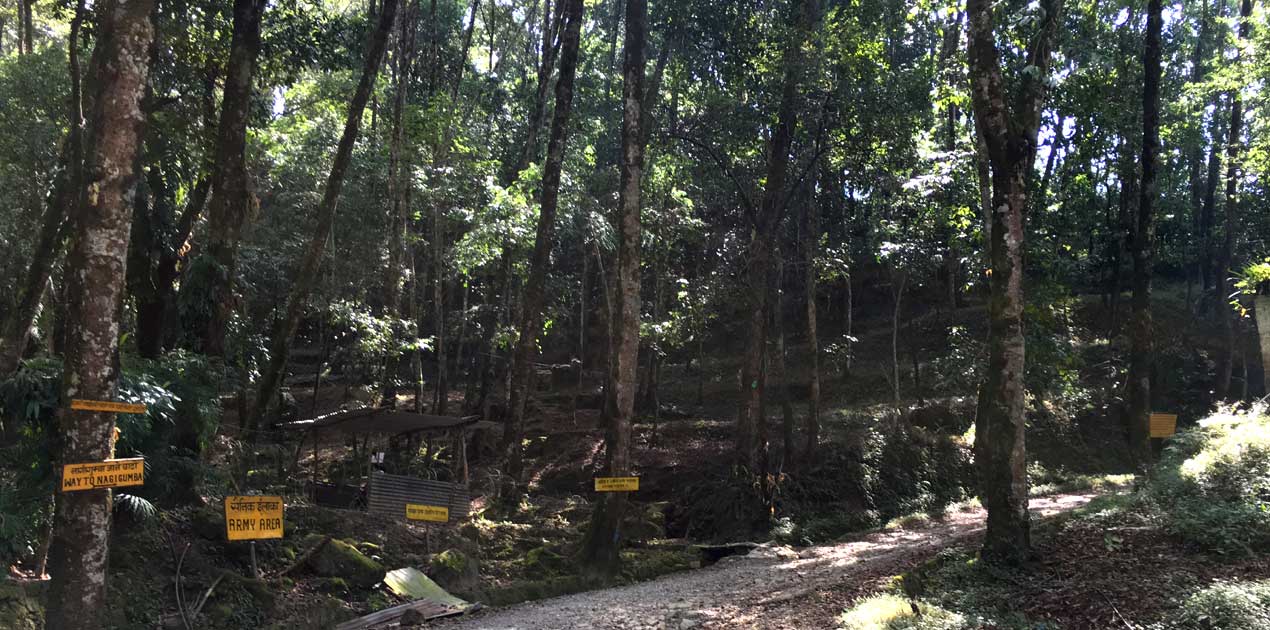 Shivapuri day hike