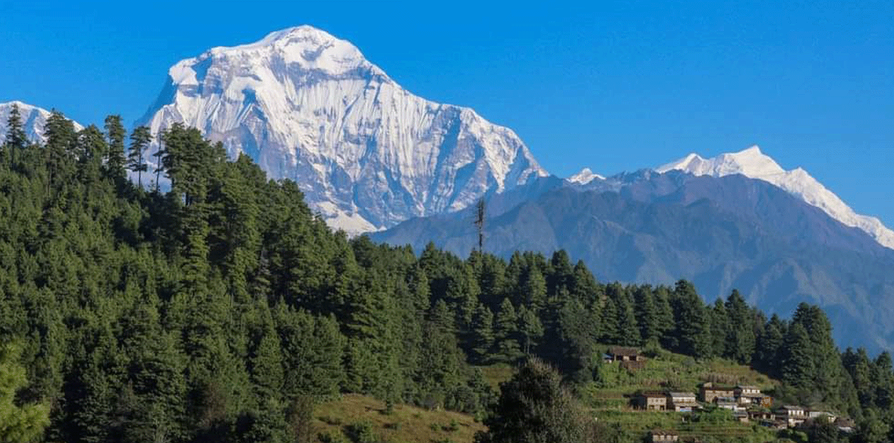 kokhe danda trekking