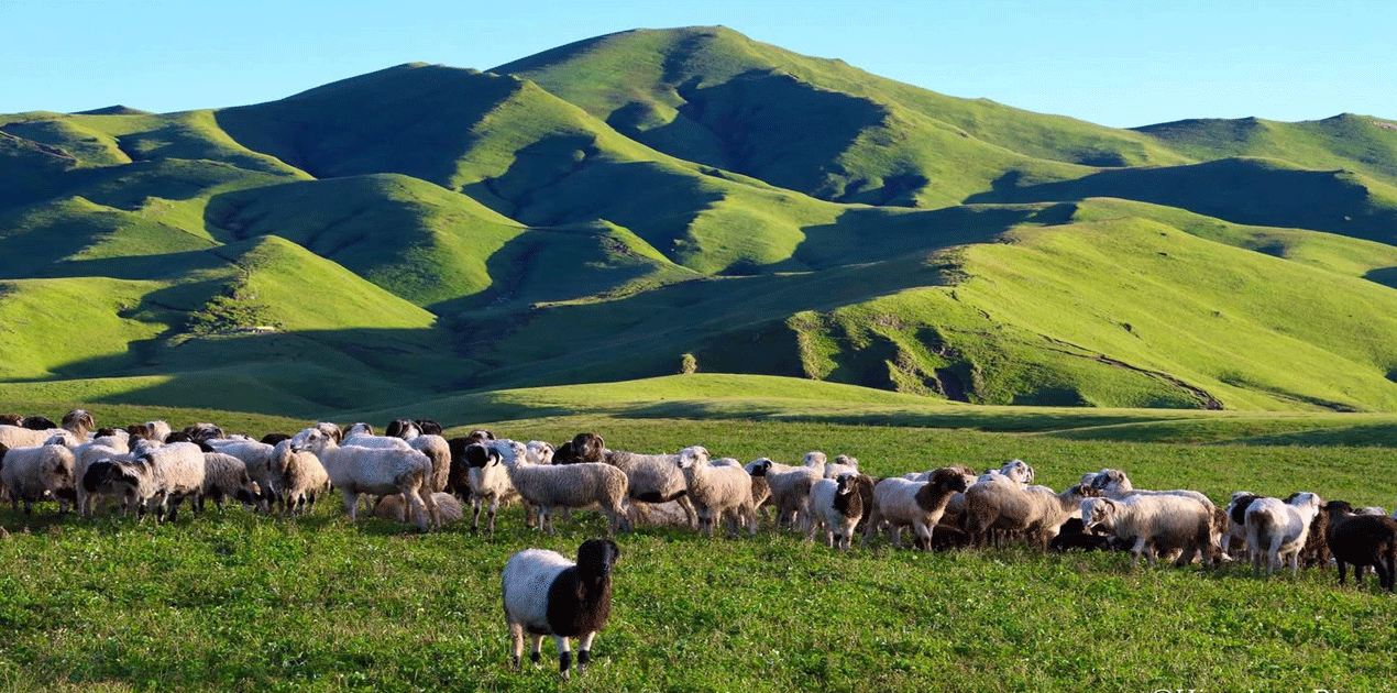 Badimalika valley trek